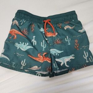 Carter's Teal Dinosaur Print Swim Trunks